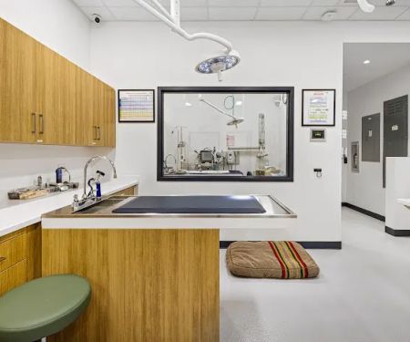 All Ears Veterinary