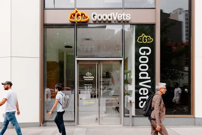 GoodVets Downtown Brooklyn Picture 6