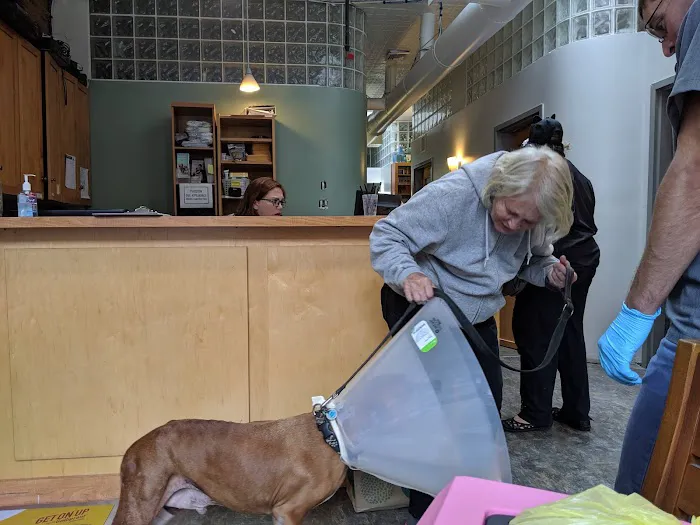 Hope Animal Hospital Picture 3