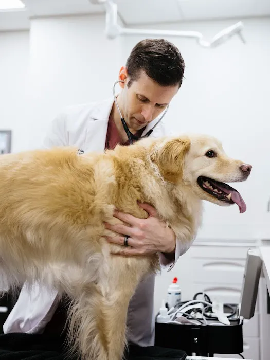 The Animal Cardiology Center Picture 7