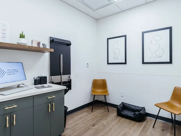 The Animal Cardiology Center Picture 2