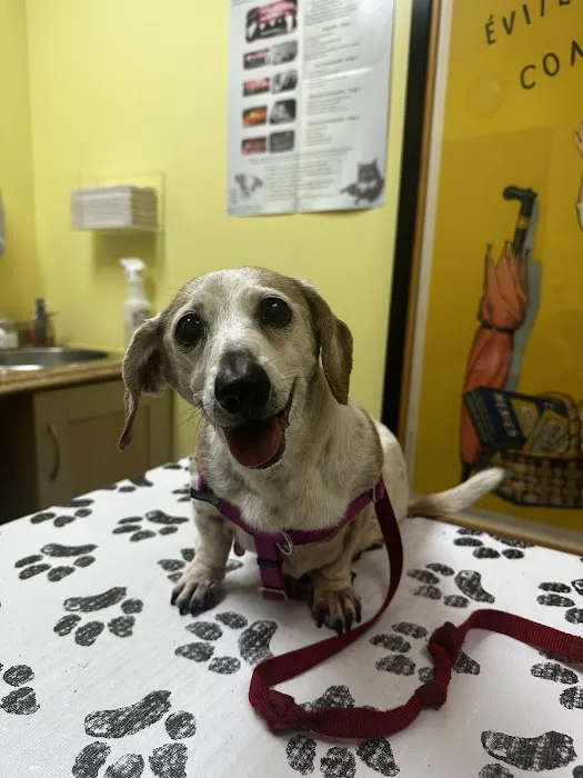 One Love Animal Hospital Picture 8