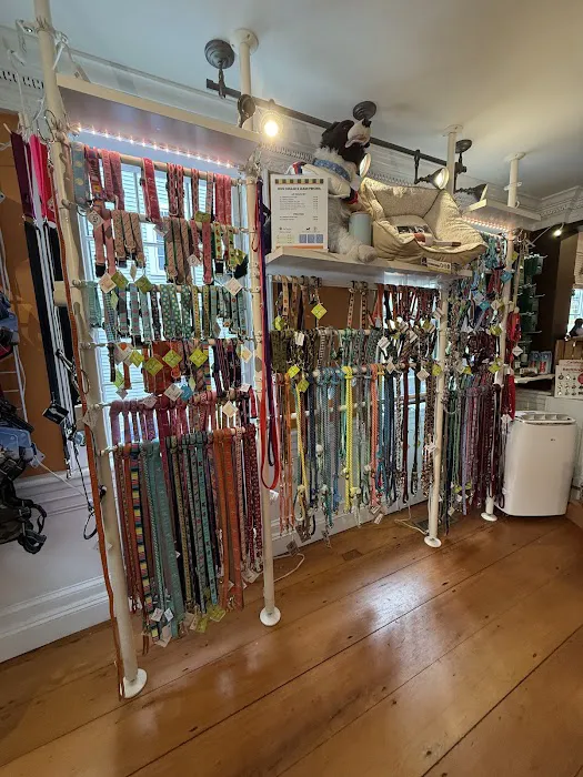 WOOF! WOOF! Pet Boutique & Biscuit Bar Picture 6