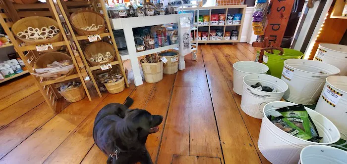 WOOF! WOOF! Pet Boutique & Biscuit Bar Picture 2