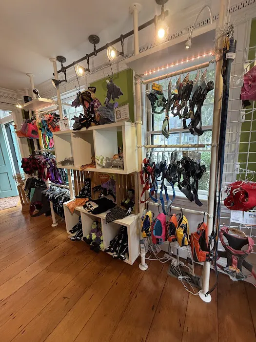 WOOF! WOOF! Pet Boutique & Biscuit Bar Picture 1