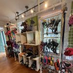 WOOF! WOOF! Pet Boutique & Biscuit Bar
