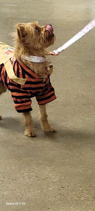 Banfield Pet Hospital Picture 3