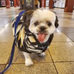 Banfield Pet Hospital