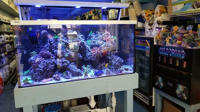 Sea Creature Aquarium Picture 5
