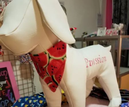Pawssion Designer Pet Clothing