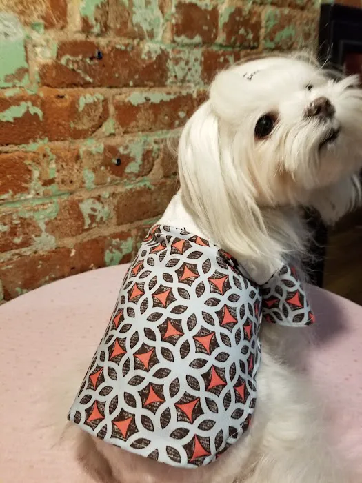 Pawssion Designer Pet Clothing Picture 7