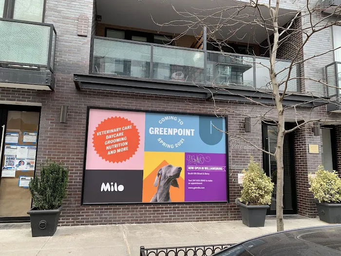Veterinary Care Group - Greenpoint Picture 10
