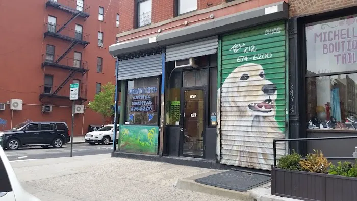 Urban Vets Animal Hospital Picture 2