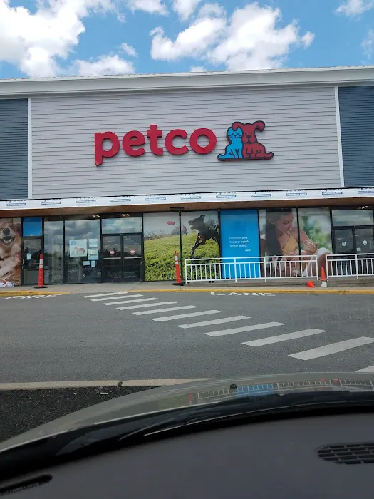 Petco Picture 3