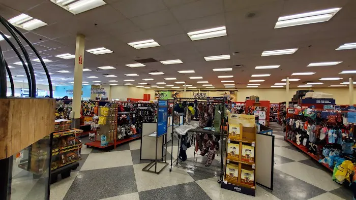 Petco Picture 7