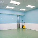 Pet Surgery Center of New York