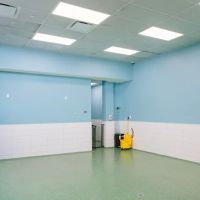 Pet Surgery Center of New York ico