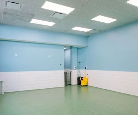 Pet Surgery Center of New York
