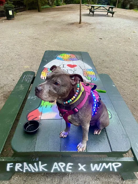 InstaVet Home Euthanasia Service Picture 2