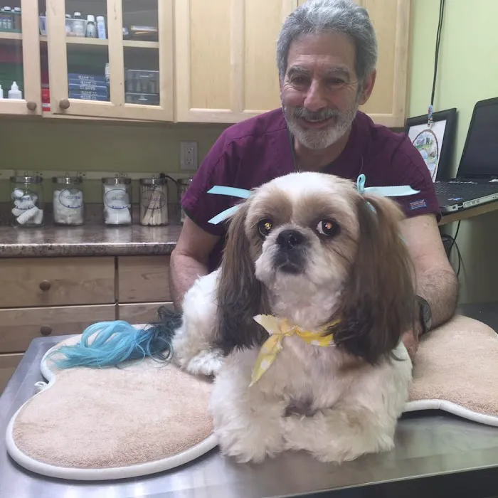 InstaVet Home Euthanasia Service Picture 10