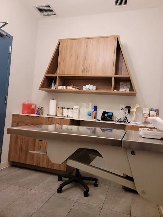 InstaVet Urgent Care & Wellness Animal Hospital - LIC Queens Pet Surgery Medical Center Picture 6