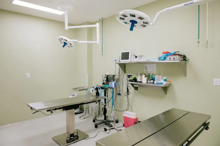 InstaVet Urgent Care & Wellness Animal Hospital - LIC Queens Pet Surgery Medical Center Picture 4
