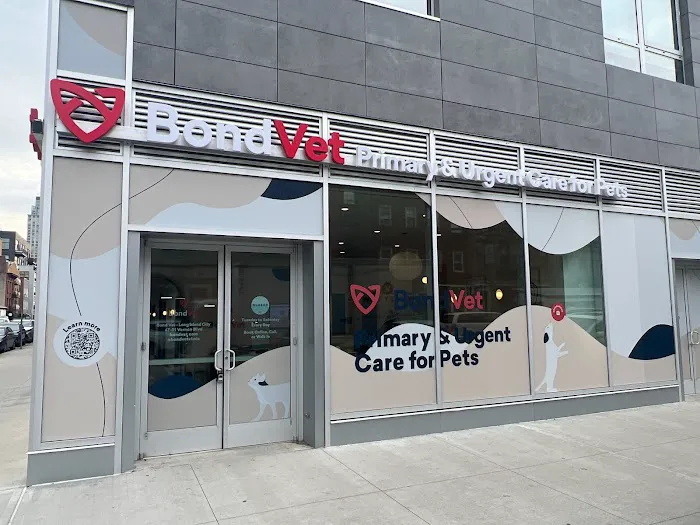 Bond Vet - Long Island City Picture 7