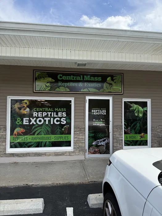 Central Mass Reptiles & Exotics Picture 3