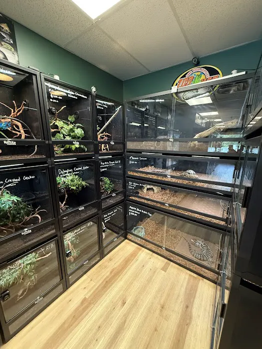 Central Mass Reptiles & Exotics Picture 10