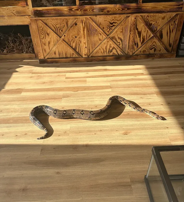 Central Mass Reptiles & Exotics Picture 7