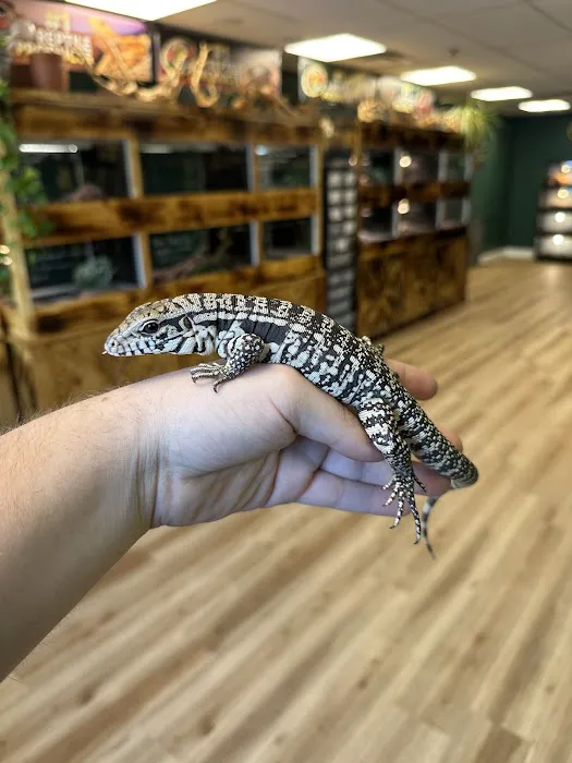 Central Mass Reptiles & Exotics Picture 6