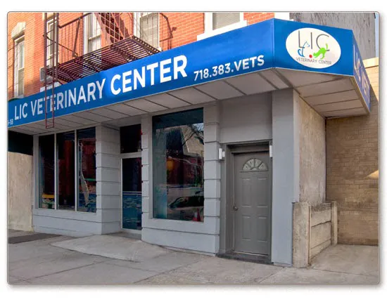 Long Island City Veterinary Center Picture 4