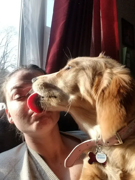 The Perfect Puppy Picture 1