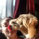The Perfect Puppy