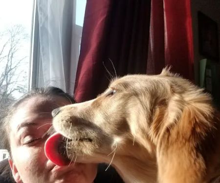 The Perfect Puppy