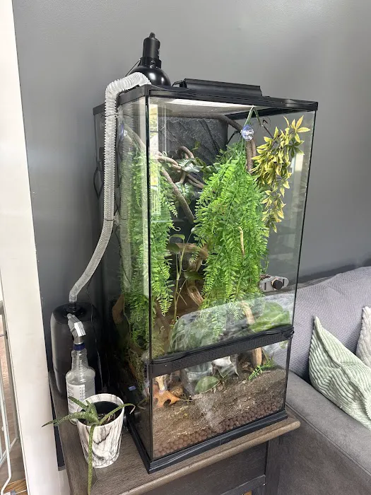 Showcase Reptiles Picture 1