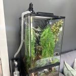 Showcase Reptiles