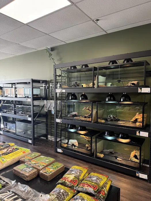 Showcase Reptiles Picture 7