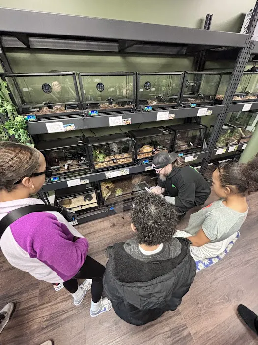 Showcase Reptiles Picture 10