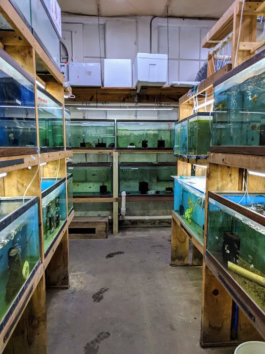 Uncle Ned's Fish Factory Picture 6