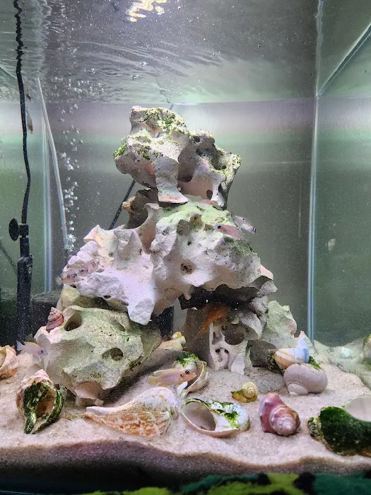 Uncle Ned's Fish Factory Picture 4