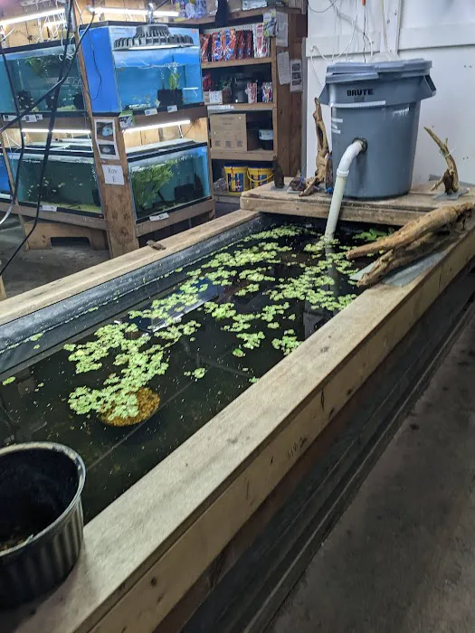 Uncle Ned's Fish Factory Picture 10