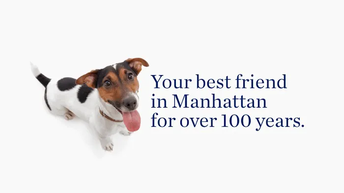 The Schwarzman Animal Medical Center Picture 2