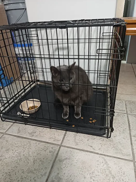 The Schwarzman Animal Medical Center Picture 8