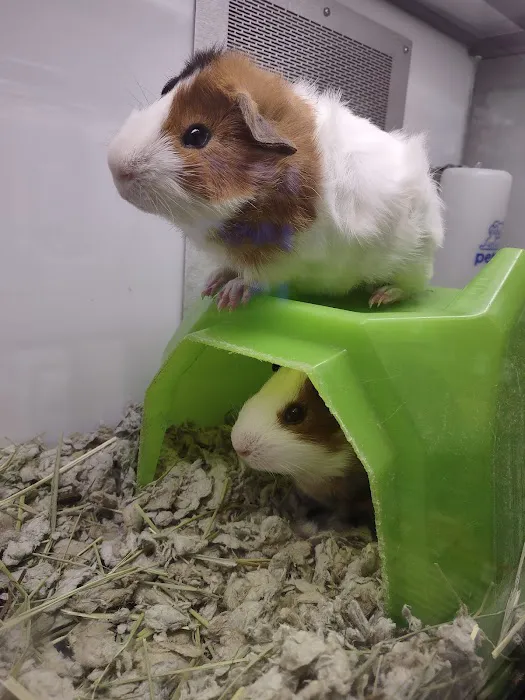 Petco Picture 6