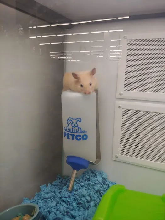 Petco Picture 5