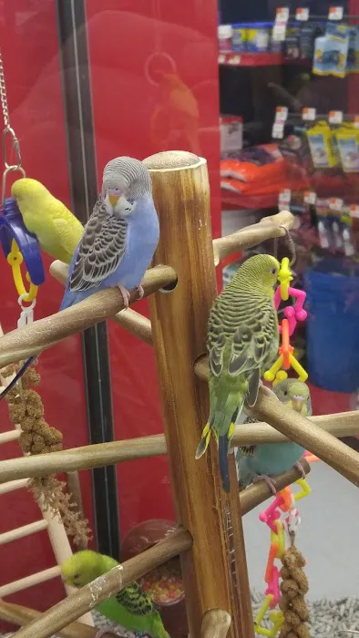 Petco Picture 1