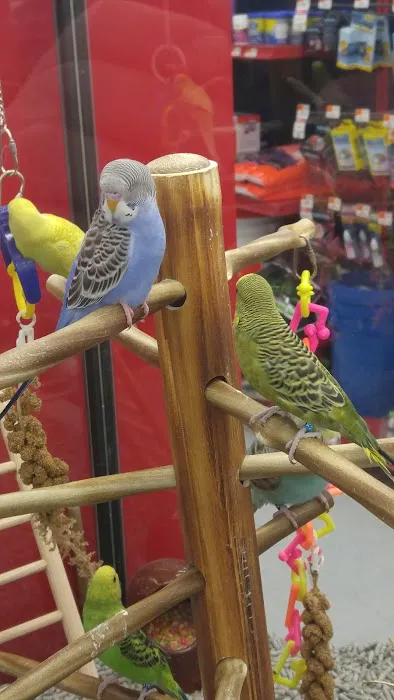 Petco Picture 2