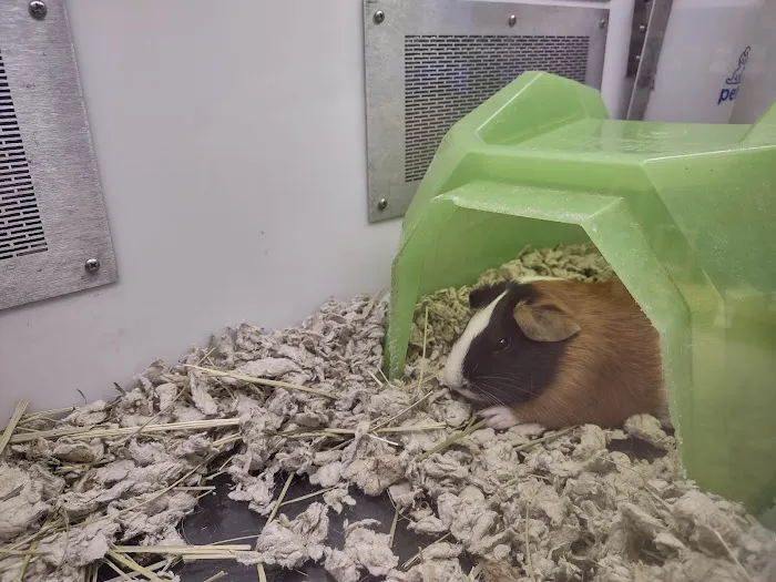 Petco Picture 3
