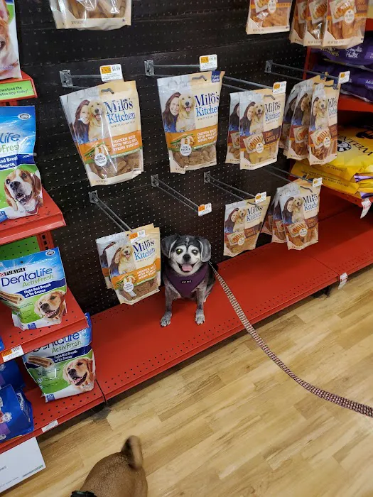 Petco Picture 9